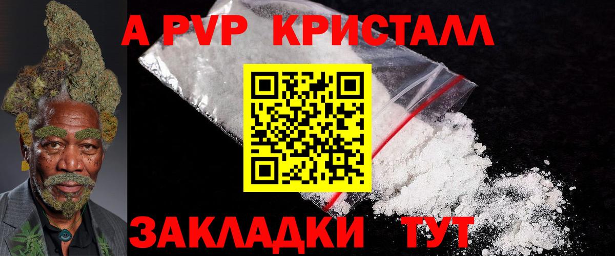 Alfa_PVP СК КРИС Санкт-Петербург