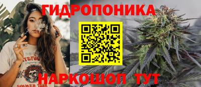 прущие крисы Бийск