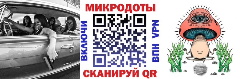 мега онион  Санкт-Петербург  Галлюциногенные грибы Cubensis 