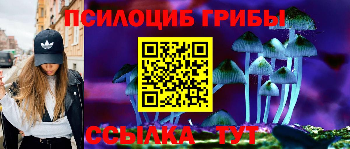 Псилоцибиновые грибы мицелий Санкт-Петербург